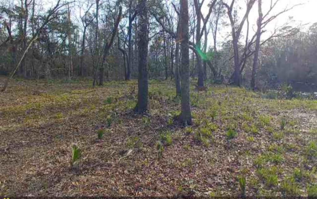 Southwest Dragon Way Jasper, FL 32052 - Photo 4 of 9