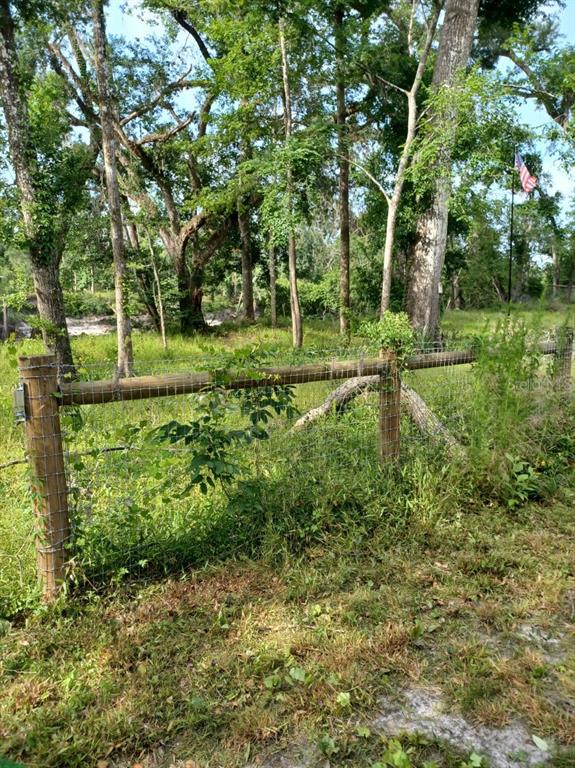 Southwest Dragon Way Jasper, FL 32052 - Photo 5 of 9