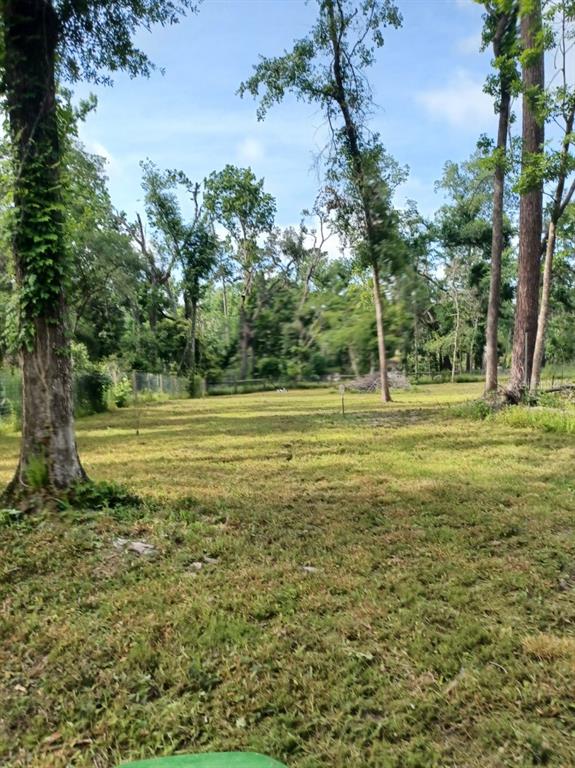 Southwest Dragon Way Jasper, FL 32052 - Photo 6 of 9