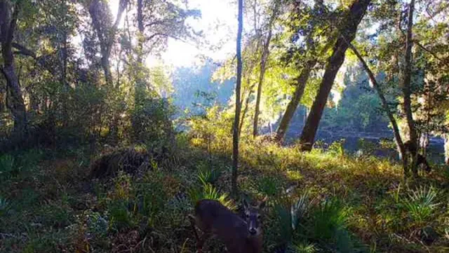 $129,999 | Southwest Dragon Way, Jasper, FL 32052