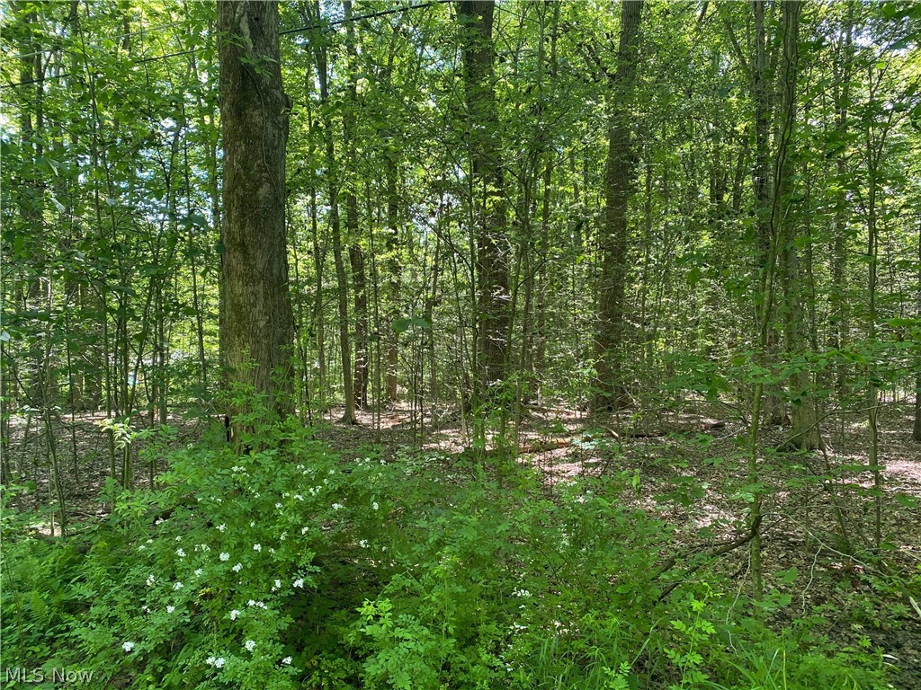 V/l Winchell Road Mantua, OH 44255 - Photo 1 of 4