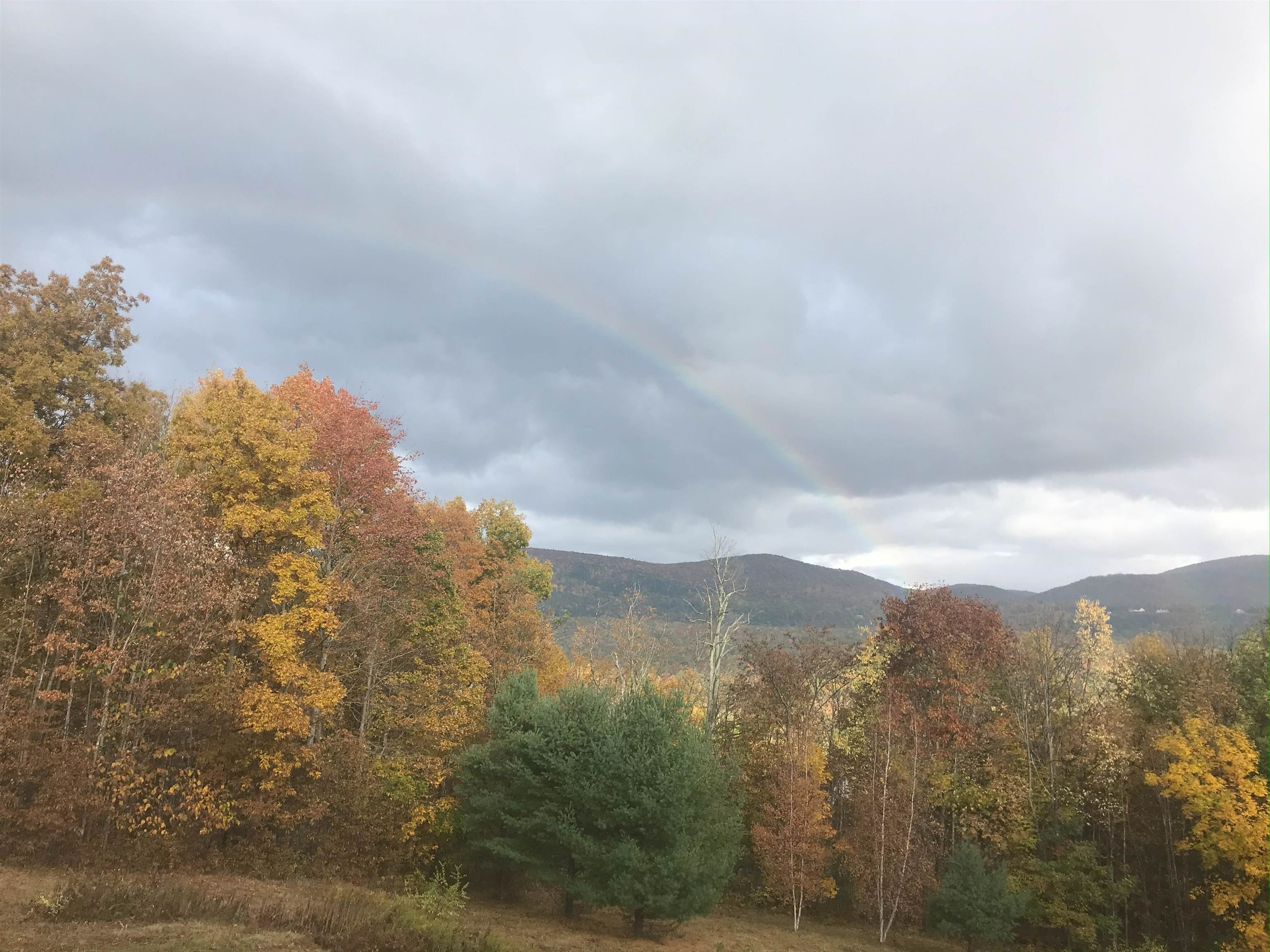 294 Green Peak Orchard South Dorset, VT 05253 - Photo 27 of 31