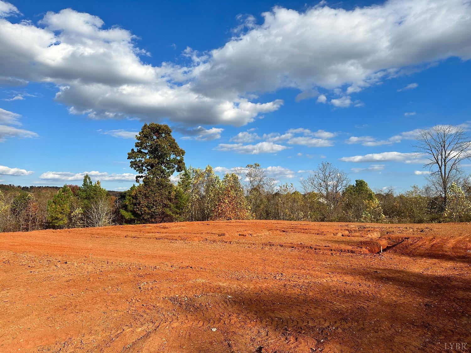 1479 Lynbrook Road Rustburg, VA 24588 - Photo 6 of 10 a view of grassy field with trees