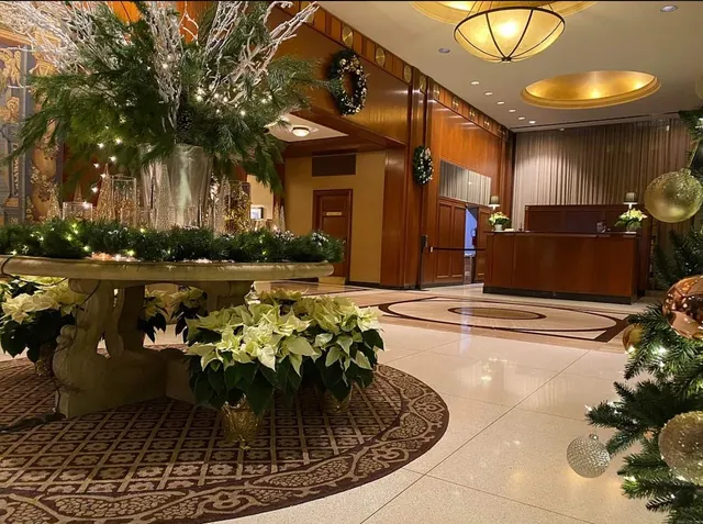 a view of a patio with table and chairs potted plants and large tree