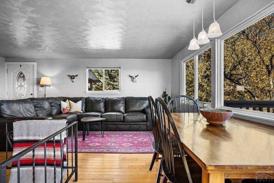 8148 Patti Drive Rye, CO 81069 - Photo 9 of 51 Gallery Image 9