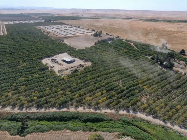 a picture of lake view with lots of trees