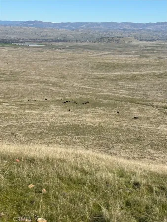 a view of ocean view