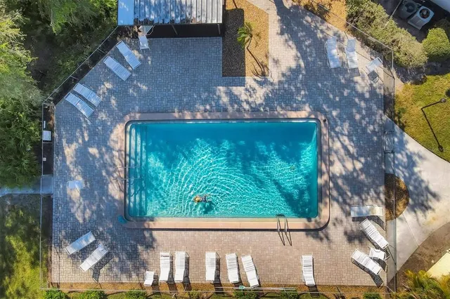a view of a yard with plants and large trees
