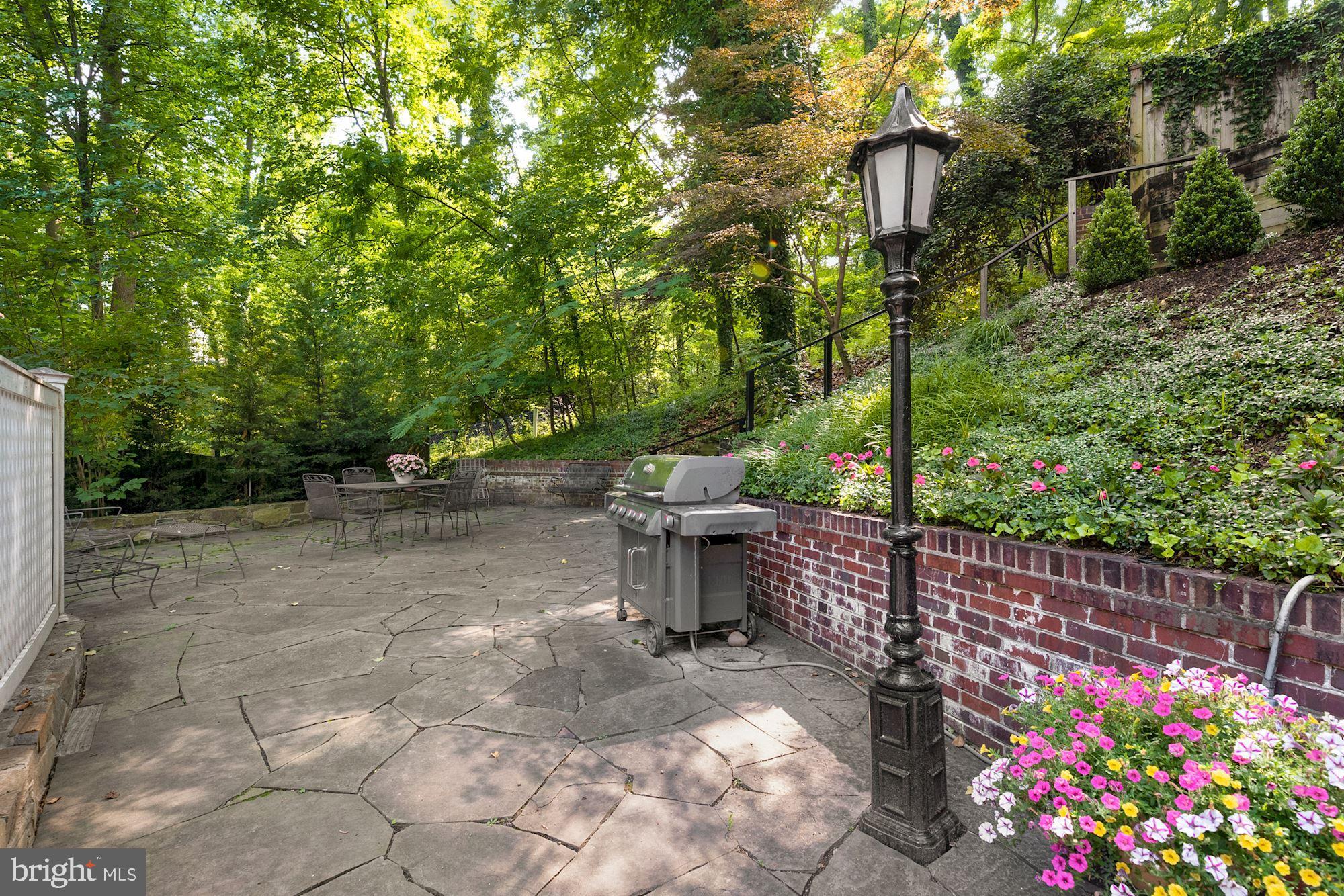 4480 Dexter Street Northwest Washington, DC 20007 - Photo 13 of 33 Terrace offers Gas Grill