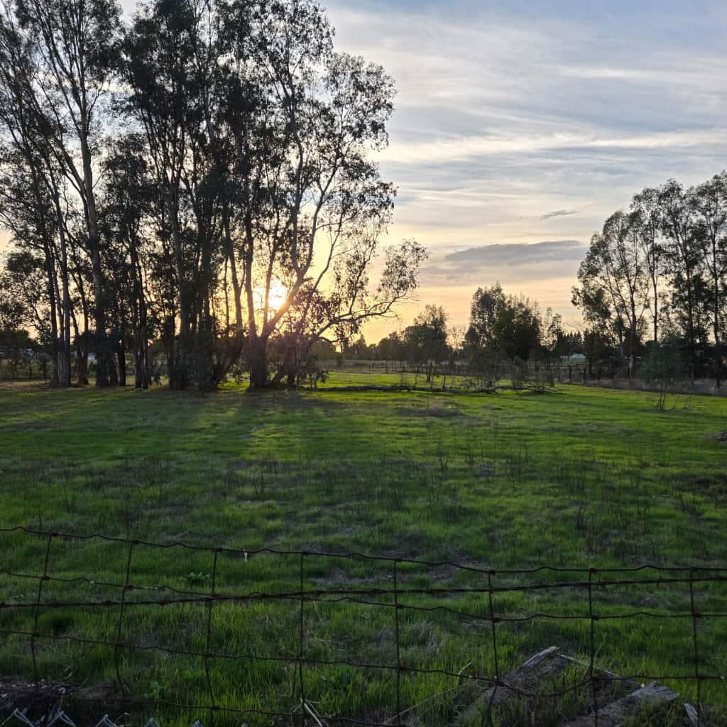 8830 Bradshaw Road Elk Grove, CA 95624 - Photo 25 of 33