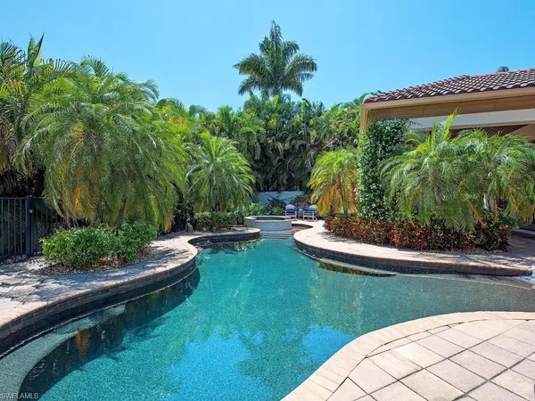 a view of a swimming pool with a garden and plants
