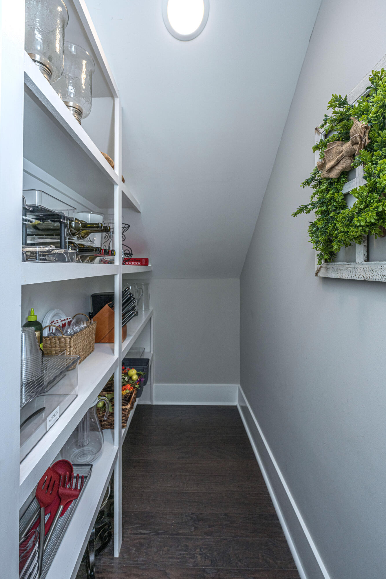 2675 Fountainhead Way Mount Pleasant, SC 29466 - Photo 18 of 63 walk-in pantry