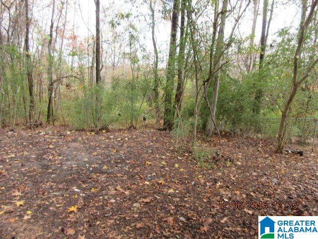 205 Wolf Pen Ridge Road Pell City, AL 35128 - Photo 8 of 50