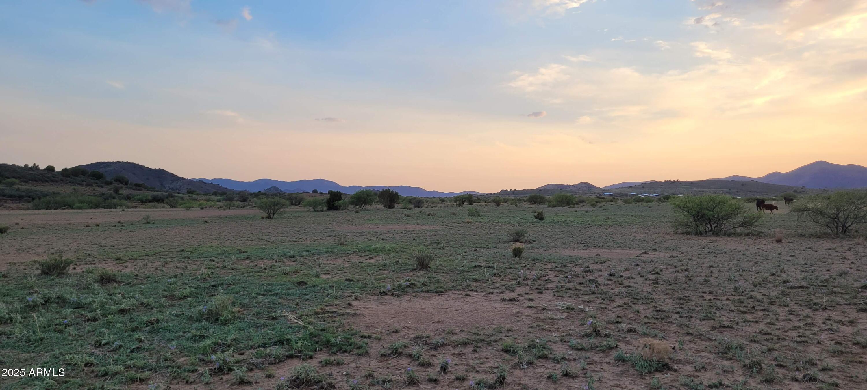 1 South D S Blue Bell Road Mayer, AZ 86333 - Photo 4 of 15 04