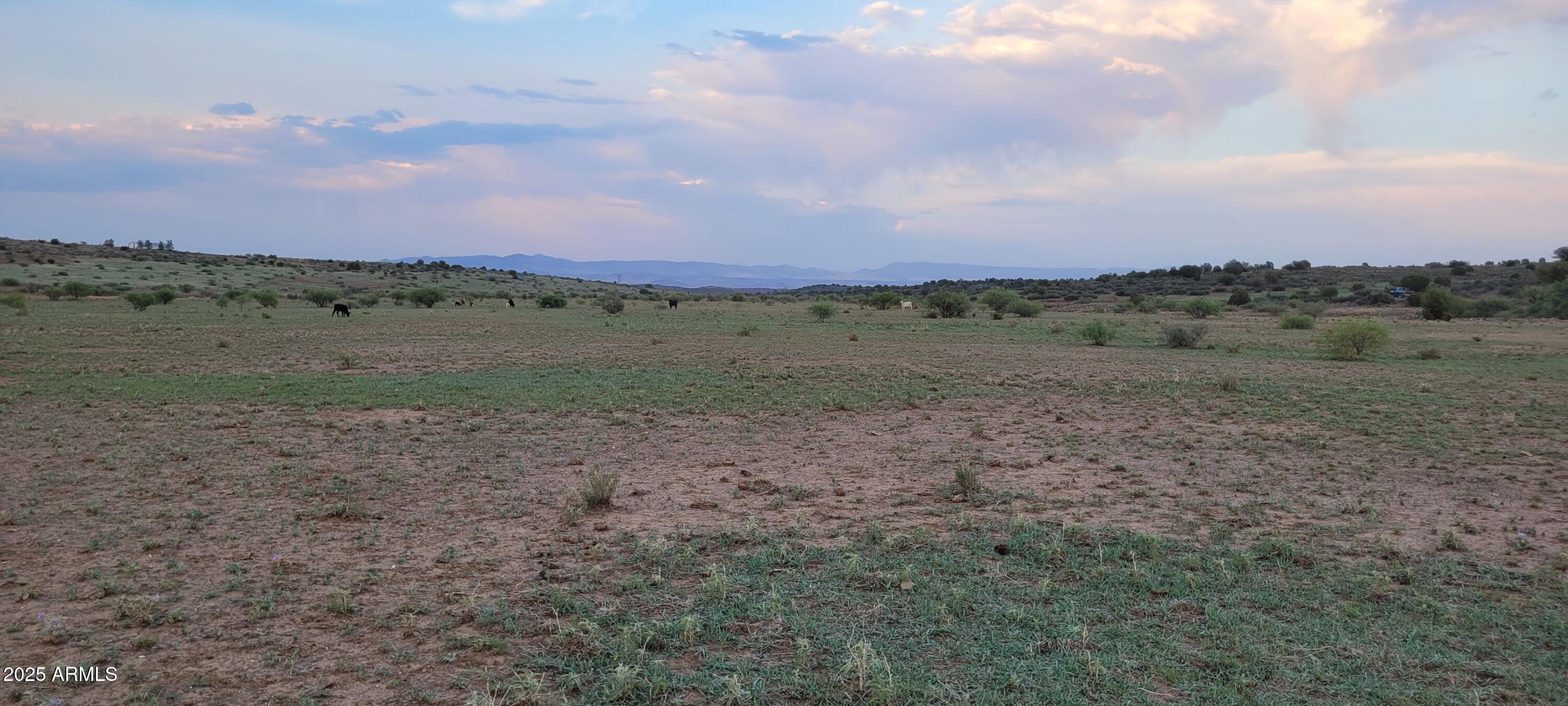 1 South D S Blue Bell Road Mayer, AZ 86333 - Photo 6 of 15 06