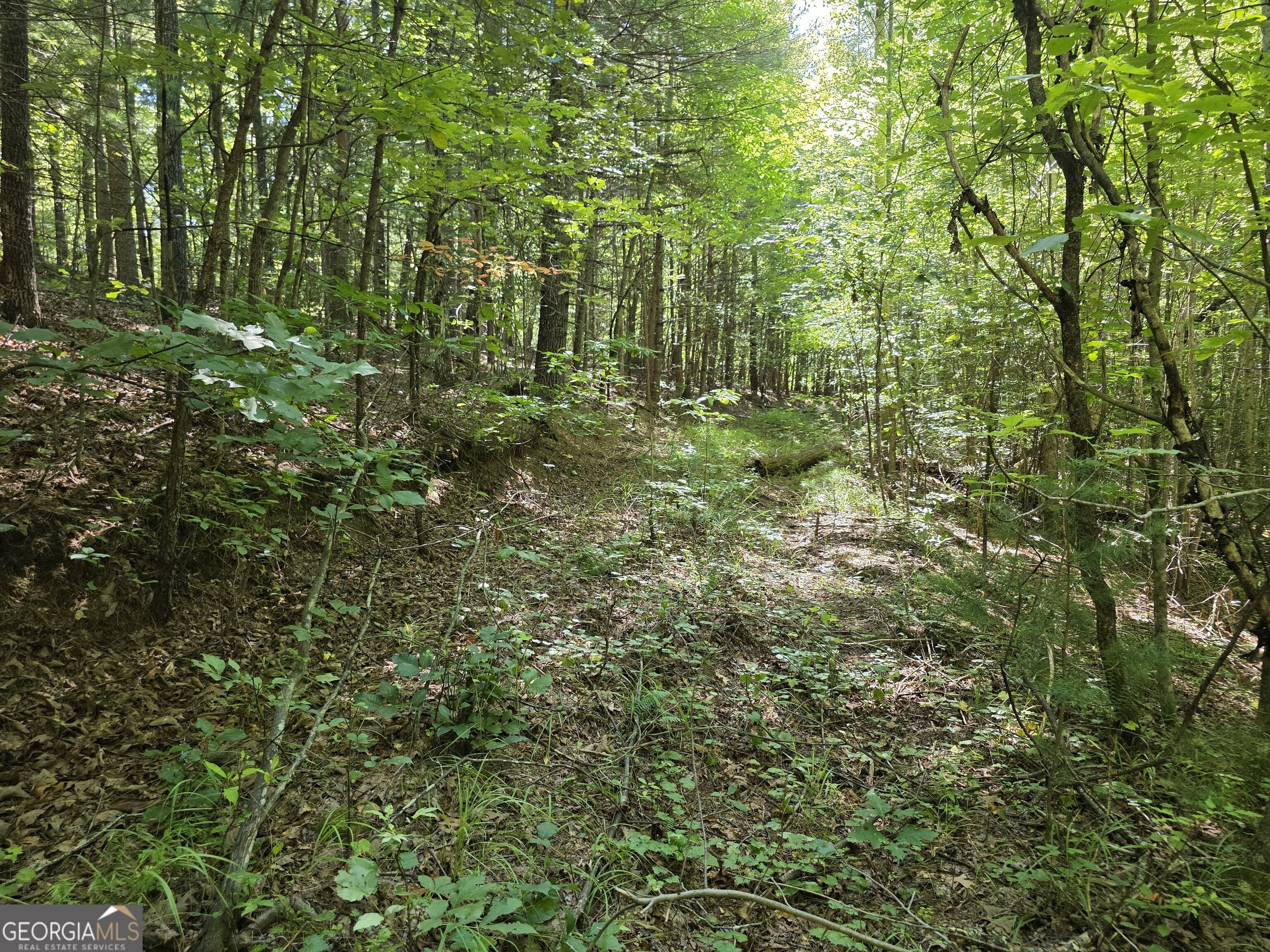 34.98 Hall Road Turtletown, TN 37391 - Photo 36 of 47 Gallery Image 36