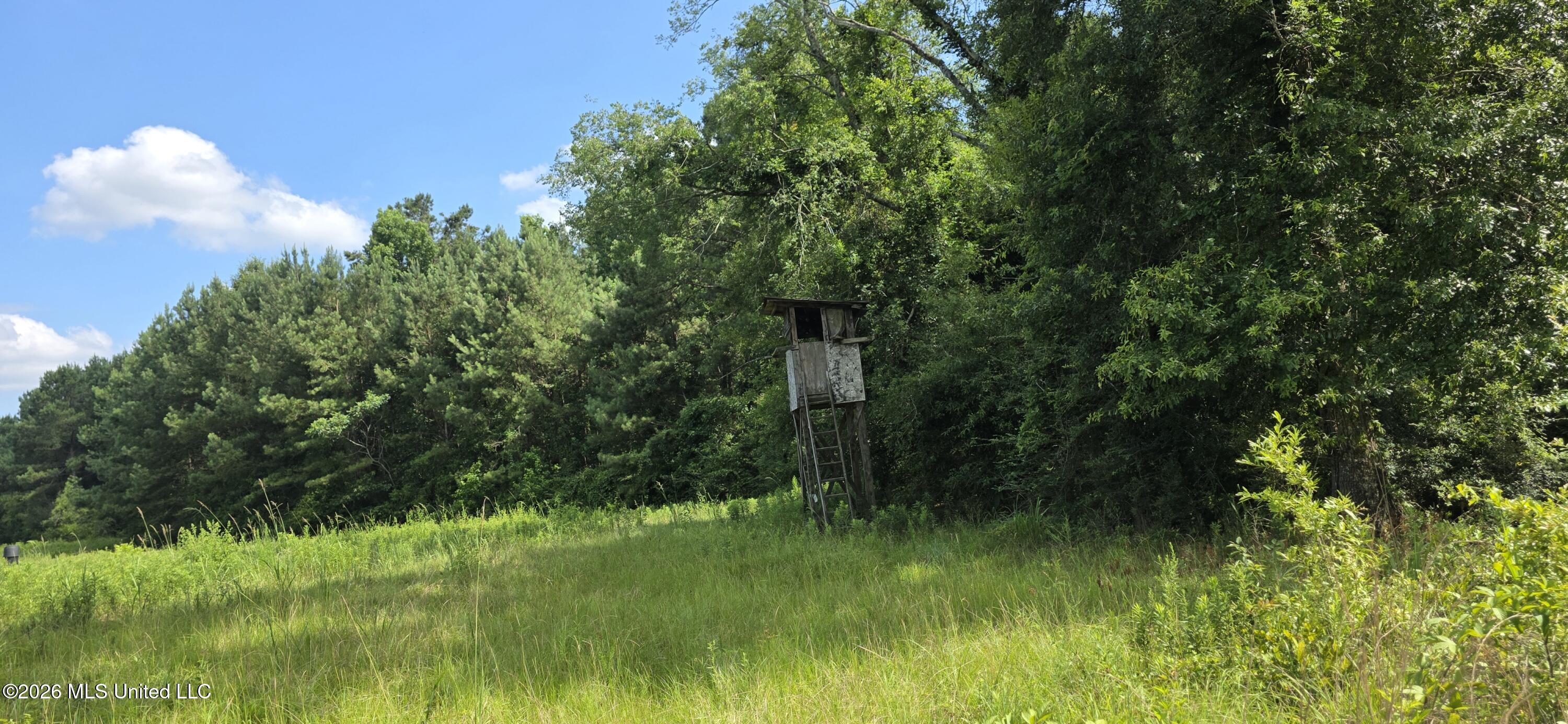 2046 Barto Leggett Road McComb, MS 39648 - Photo 1 of 29 20260623_155830