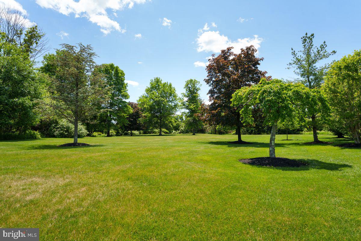 95 Van Zandt Road Skillman, NJ 08558 - Photo 49 of 53 Side yard