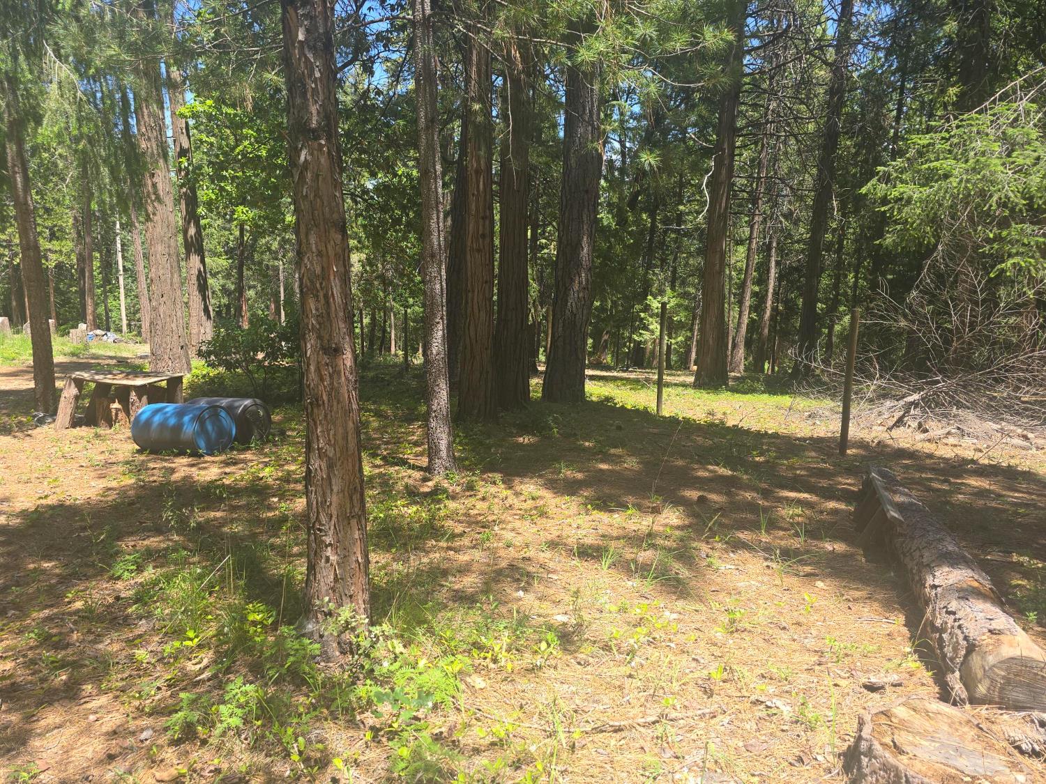 12181 Robust Way Nevada City, CA 95959 - Photo 3 of 7