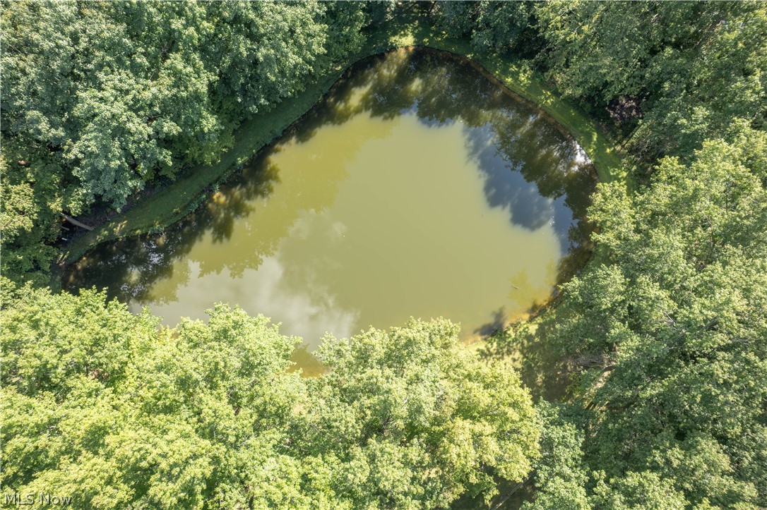 2332 Porter Road Atwater, OH 44201 - Photo 4 of 50 Stocked Pond