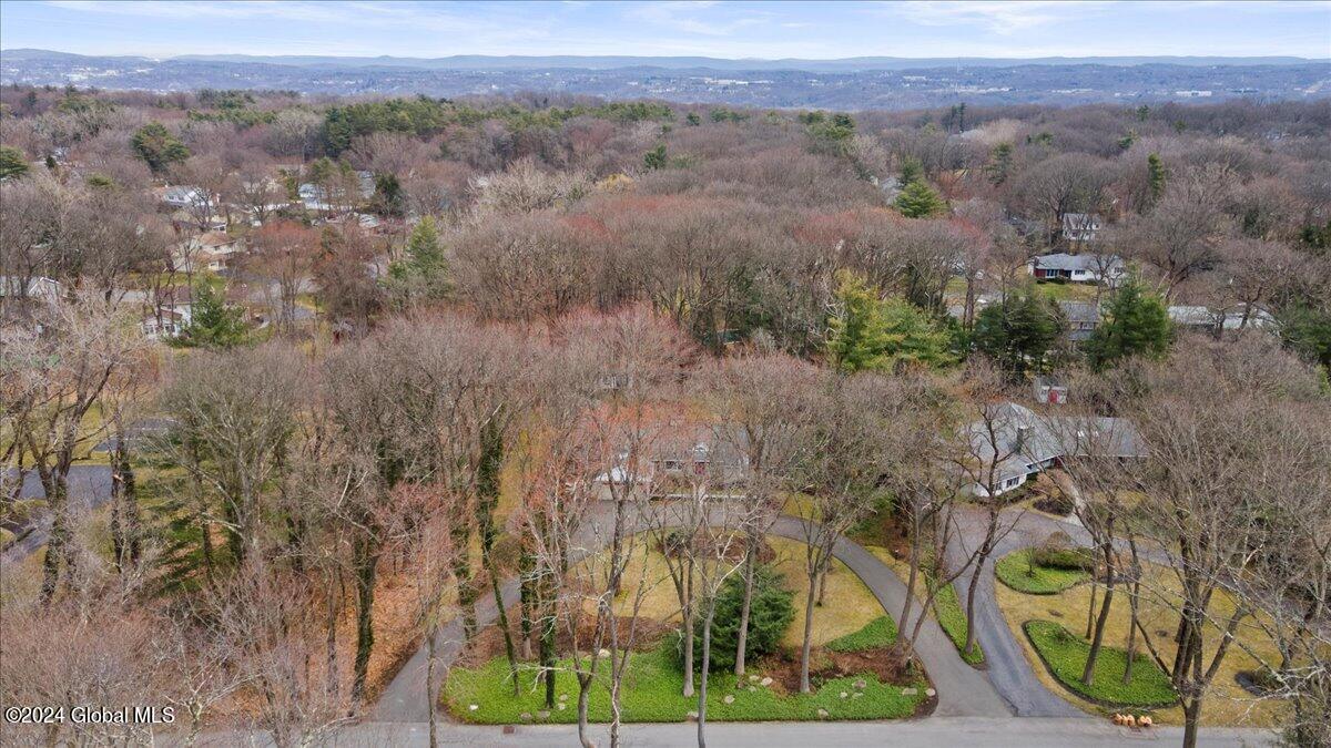 31 Colonial Green Road Colonie, NY 12211 - Photo 55 of 72 01-DJI_0577
