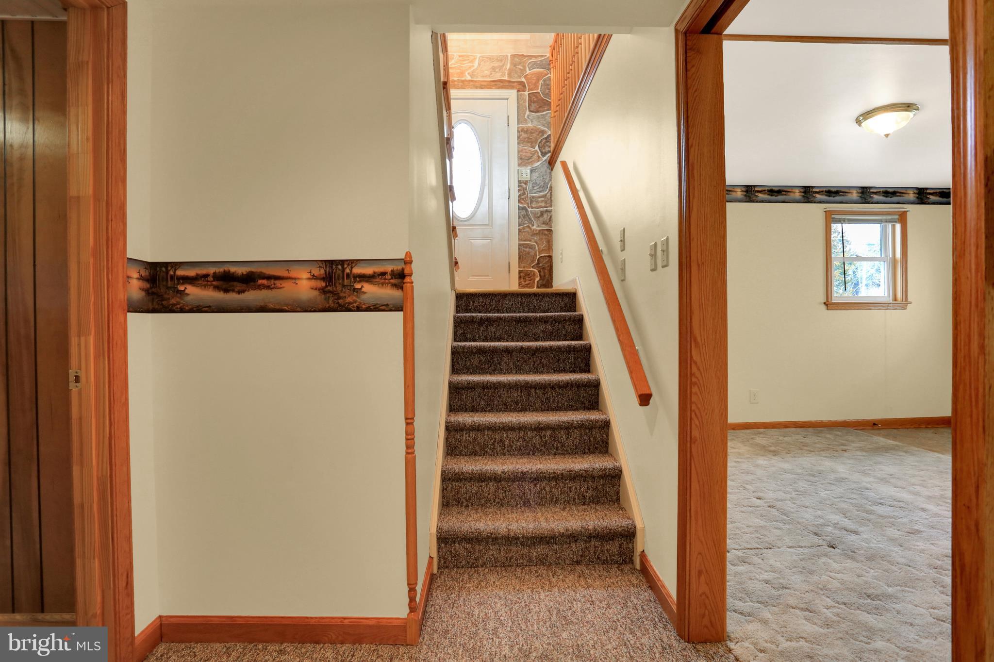 17045 Spielman Road Fairplay, MD 21733 - Photo 22 of 29 Downstairs