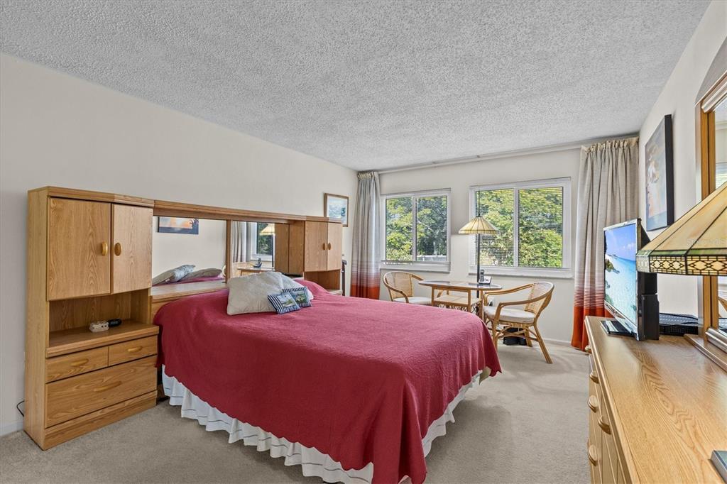 1800 Mariner Drive, Unit 9 Tarpon Springs, FL 34689 - Photo 18 of 41 a bedroom with a bed and large windows