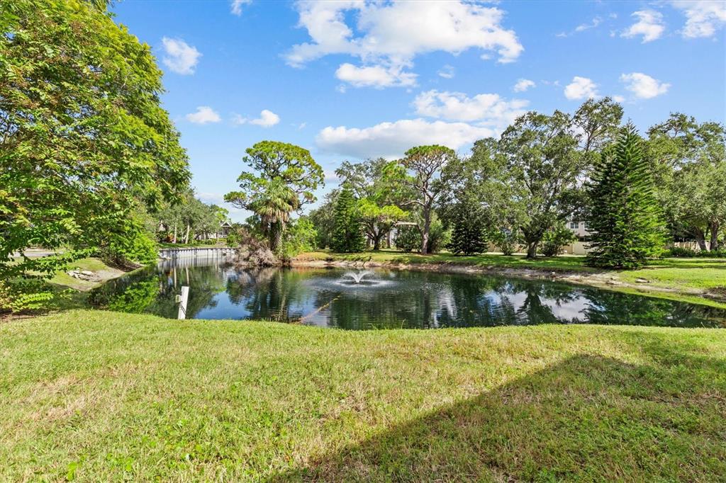1800 Mariner Drive, Unit 9 Tarpon Springs, FL 34689 - Photo 30 of 41 a view of lake view