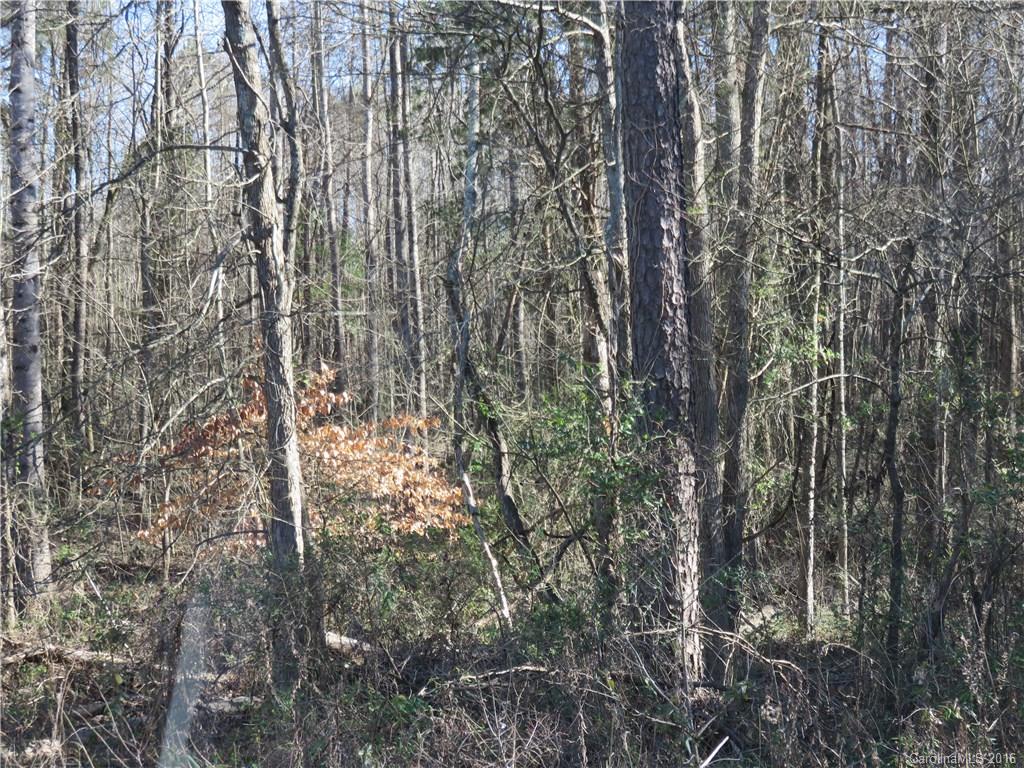 9141 Harris Road Concord, NC 28027 - Photo 1 of 10 Gallery Image 1