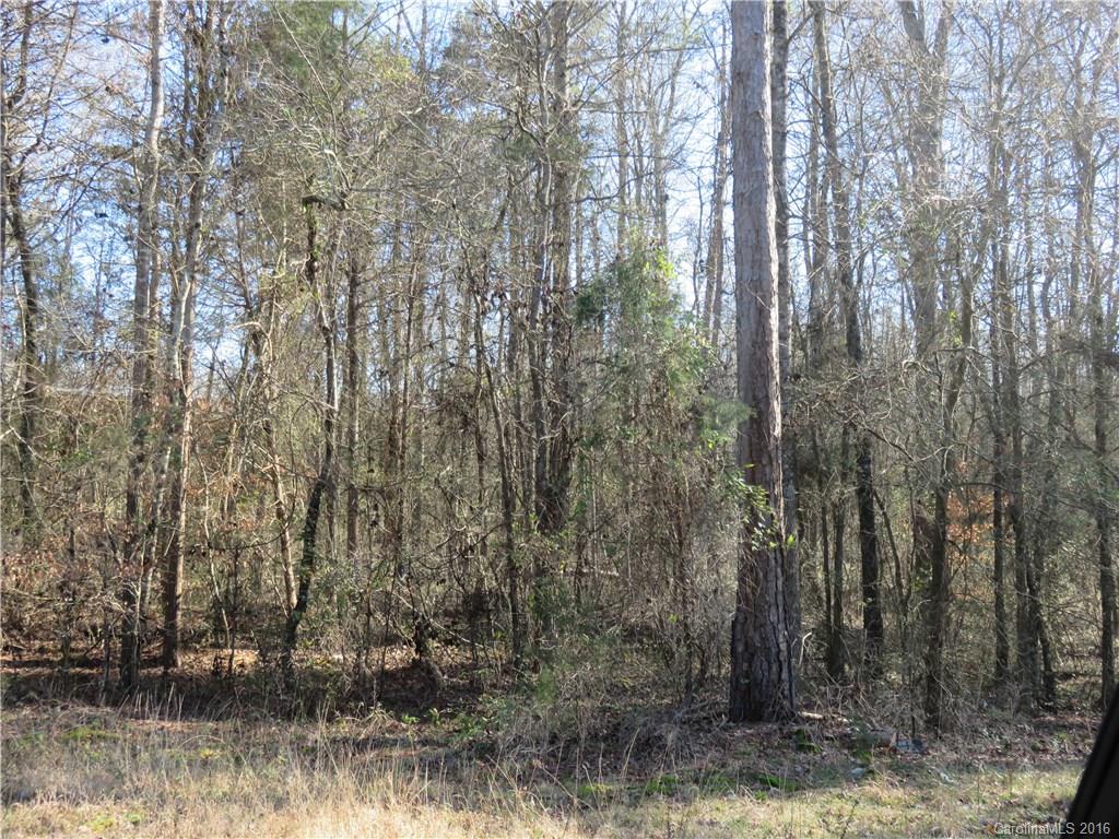 9141 Harris Road Concord, NC 28027 - Photo 4 of 10 Gallery Image 4