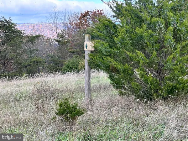 a view of a yard