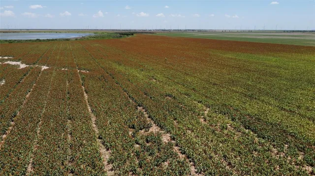 a view of an ocean beach