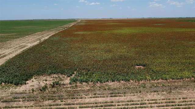 a view of wooden floor