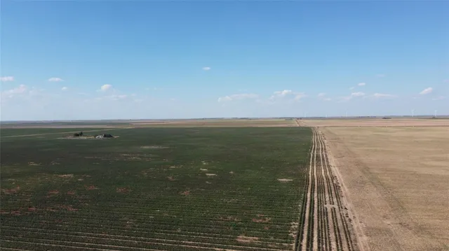 $569,750 | 0 County Road 164, Weinert, TX 76388