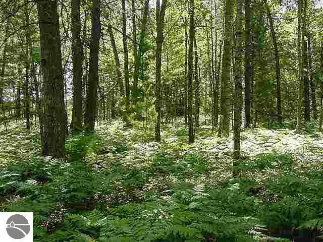 0 Waco Road Houghton Lake, MI 48629 - Photo 6 of 9 1682177-5.JPG