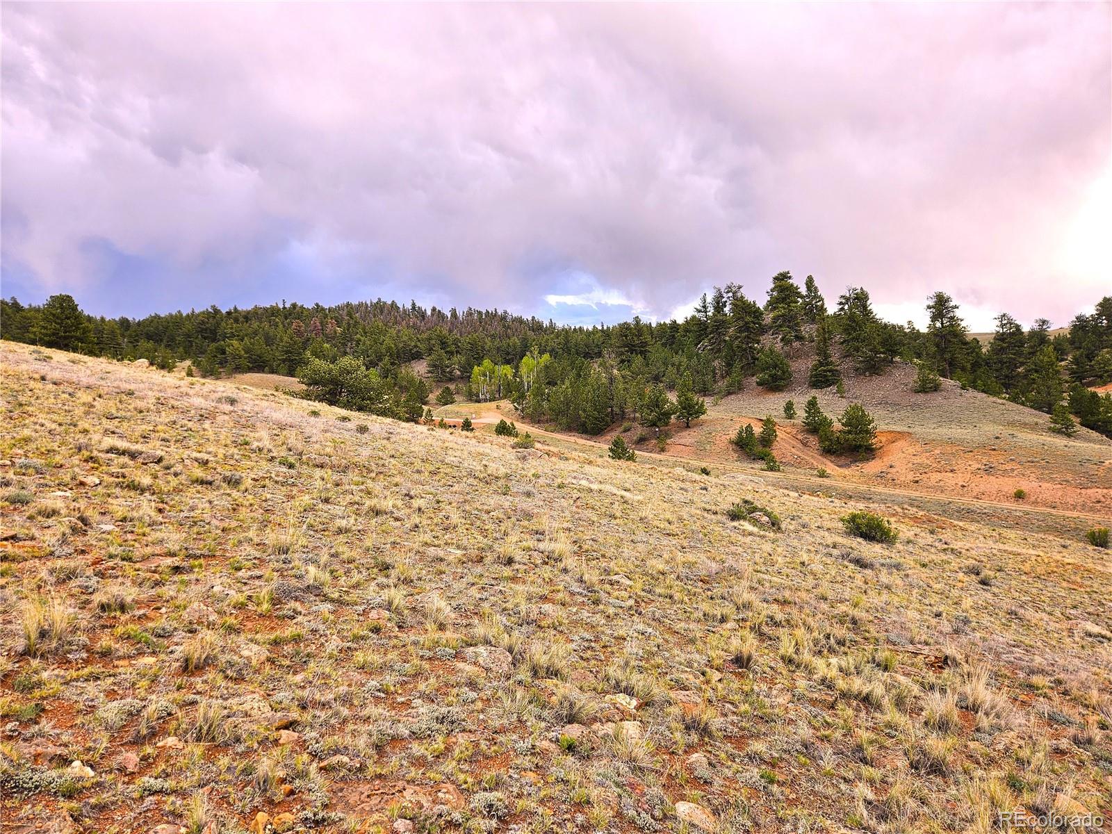 Fernando Trail Hartsel, CO 80449 - Photo 24 of 35
