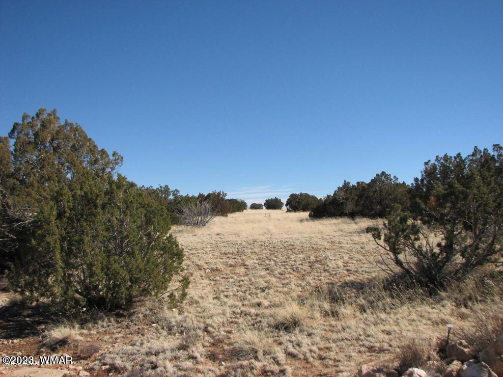 8 T14n R16e:se4 Sw4 Heber, AZ 85928 - Photo 2 of 2