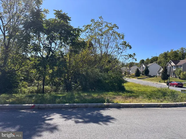 a view of a yard with plants and trees