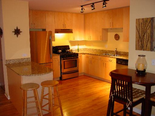 1910 South State Street, Unit 211 Chicago, IL 60616 - Photo 9 of 10