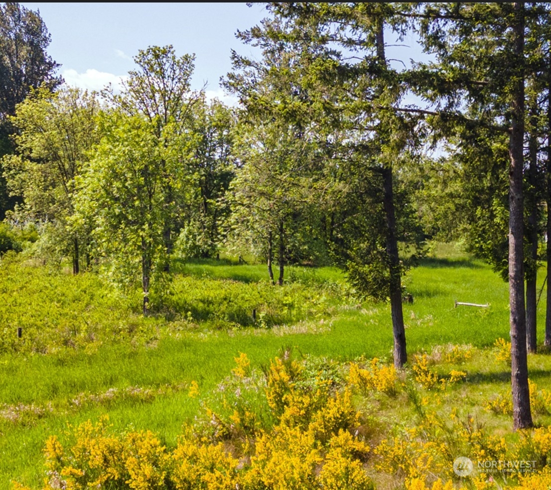 2200 Cooks Hill Road Centralia, WA 98531 - Photo 12 of 31 a view of yard with large trees