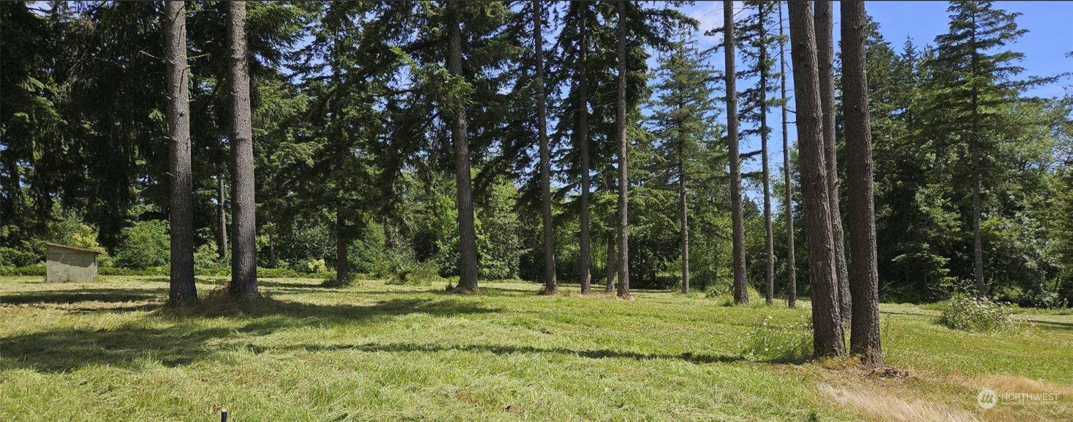 2200 Cooks Hill Road Centralia, WA 98531 - Photo 13 of 31