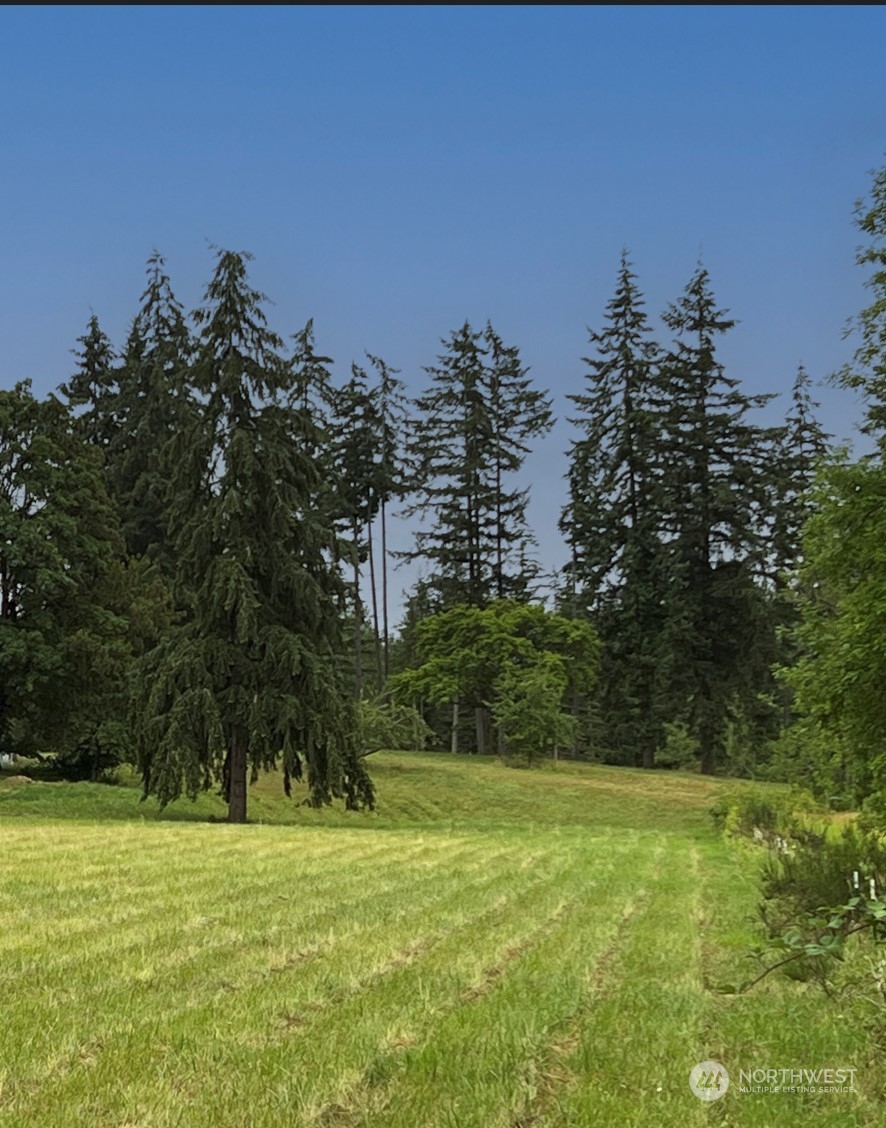 2200 Cooks Hill Road Centralia, WA 98531 - Photo 14 of 31 a view of a field with trees in the background