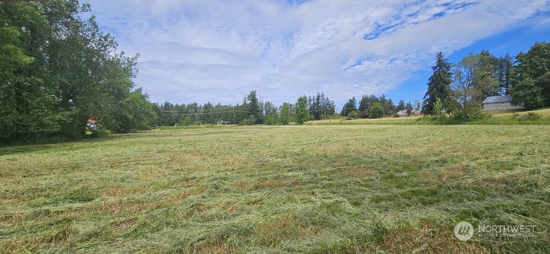 2200 Cooks Hill Road Centralia, WA 98531 - Photo 15 of 31 a view of a field with trees in the background