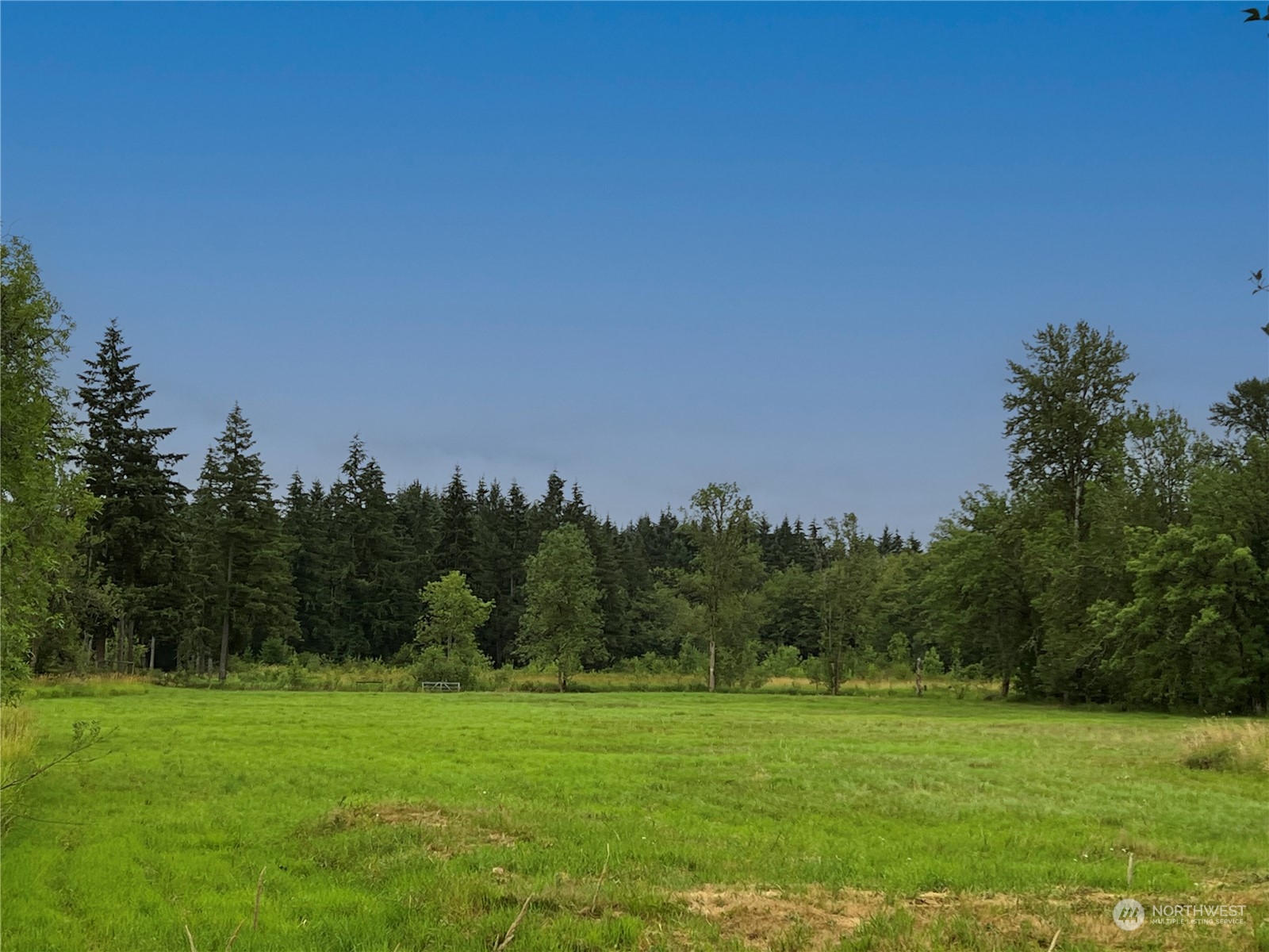 2200 Cooks Hill Road Centralia, WA 98531 - Photo 16 of 31 a view of a grassy field with trees in the background