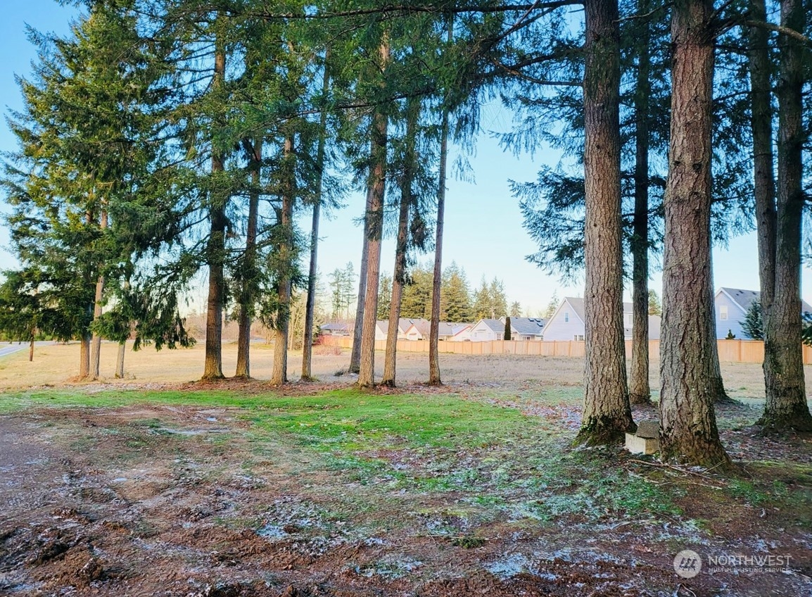 2200 Cooks Hill Road Centralia, WA 98531 - Photo 17 of 31 a view of a backyard with large trees