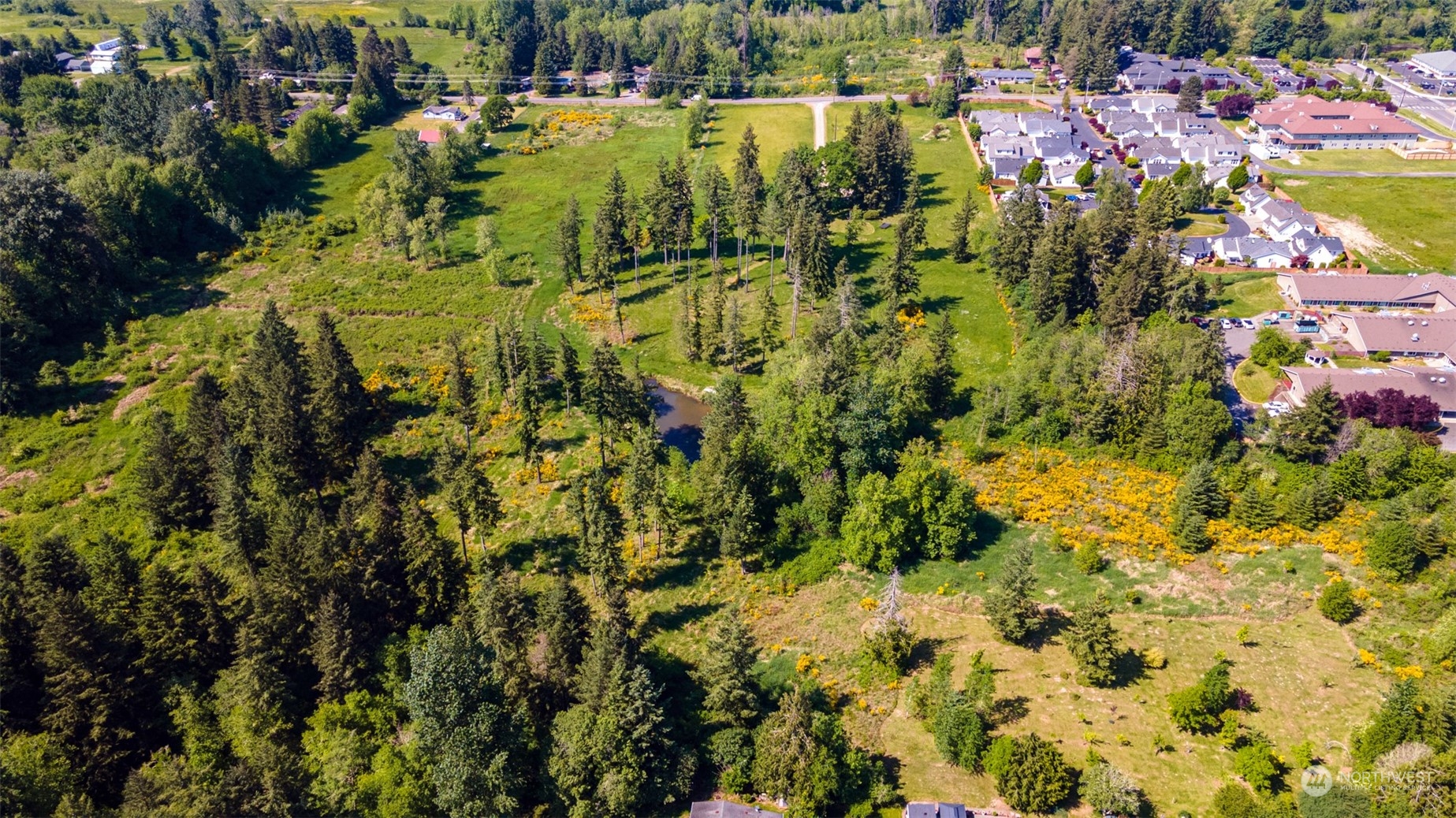 2200 Cooks Hill Road Centralia, WA 98531 - Photo 18 of 31 a view of a lake with a tree