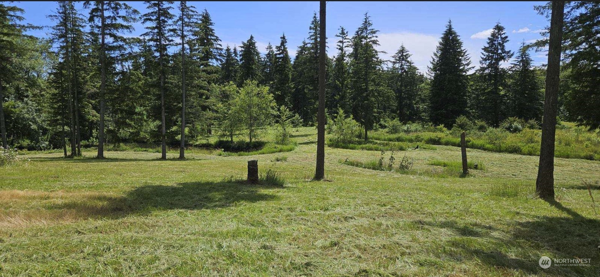 2200 Cooks Hill Road Centralia, WA 98531 - Photo 27 of 31 a view of a park