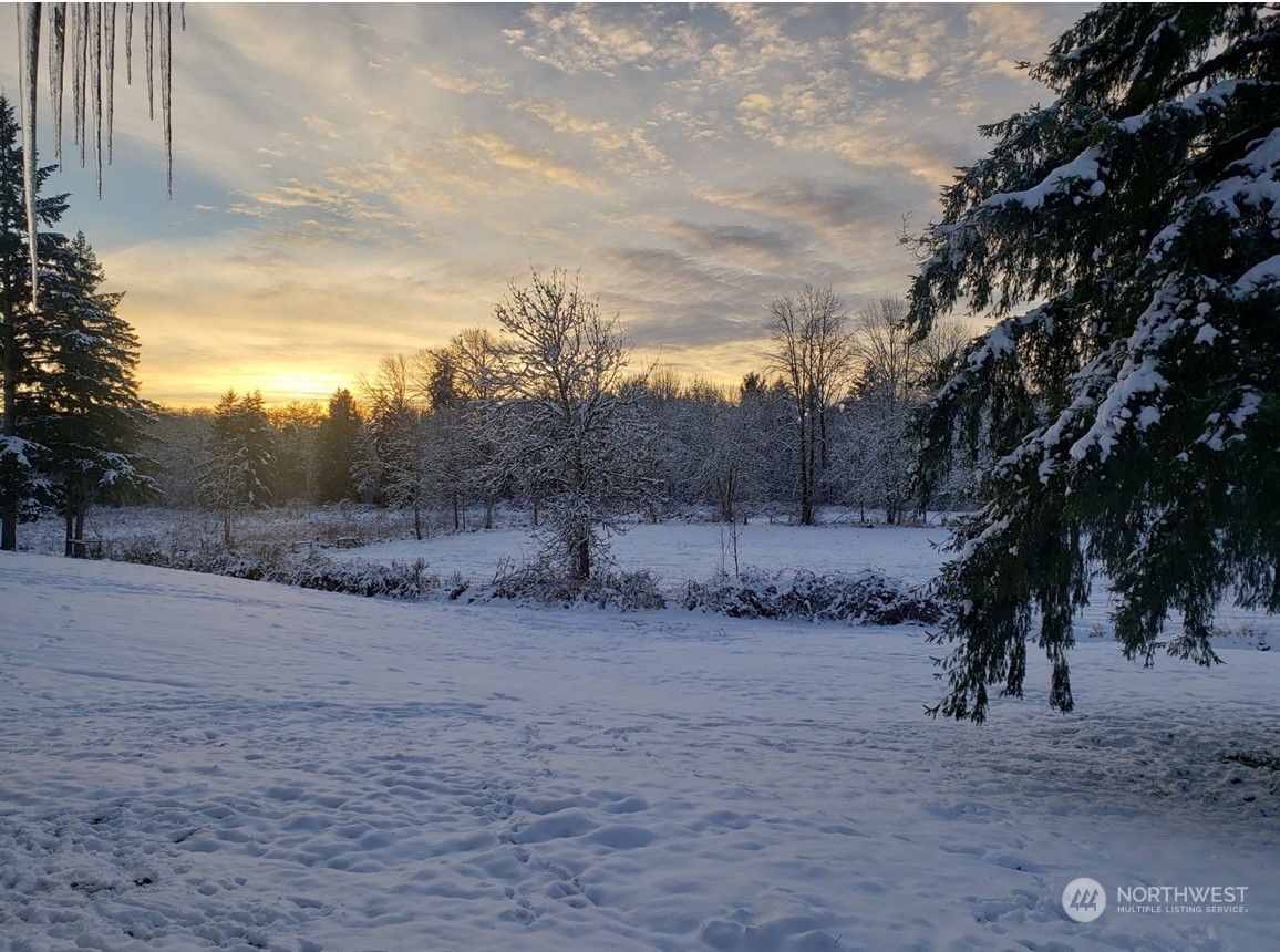 2200 Cooks Hill Road Centralia, WA 98531 - Photo 30 of 31 a view of dirt road with a building