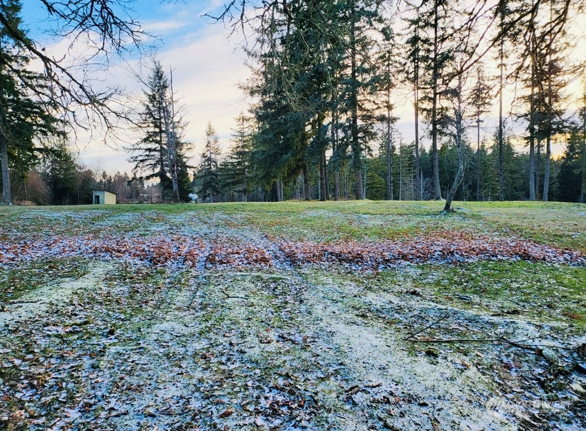 2200 Cooks Hill Road Centralia, WA 98531 - Photo 31 of 31 a big yard with lots of green space and trees