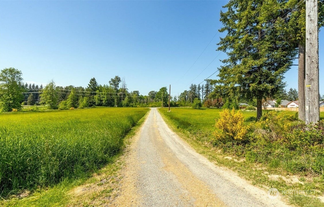 2200 Cooks Hill Road Centralia, WA 98531 - Photo 6 of 31 a view of a lake with a big yard